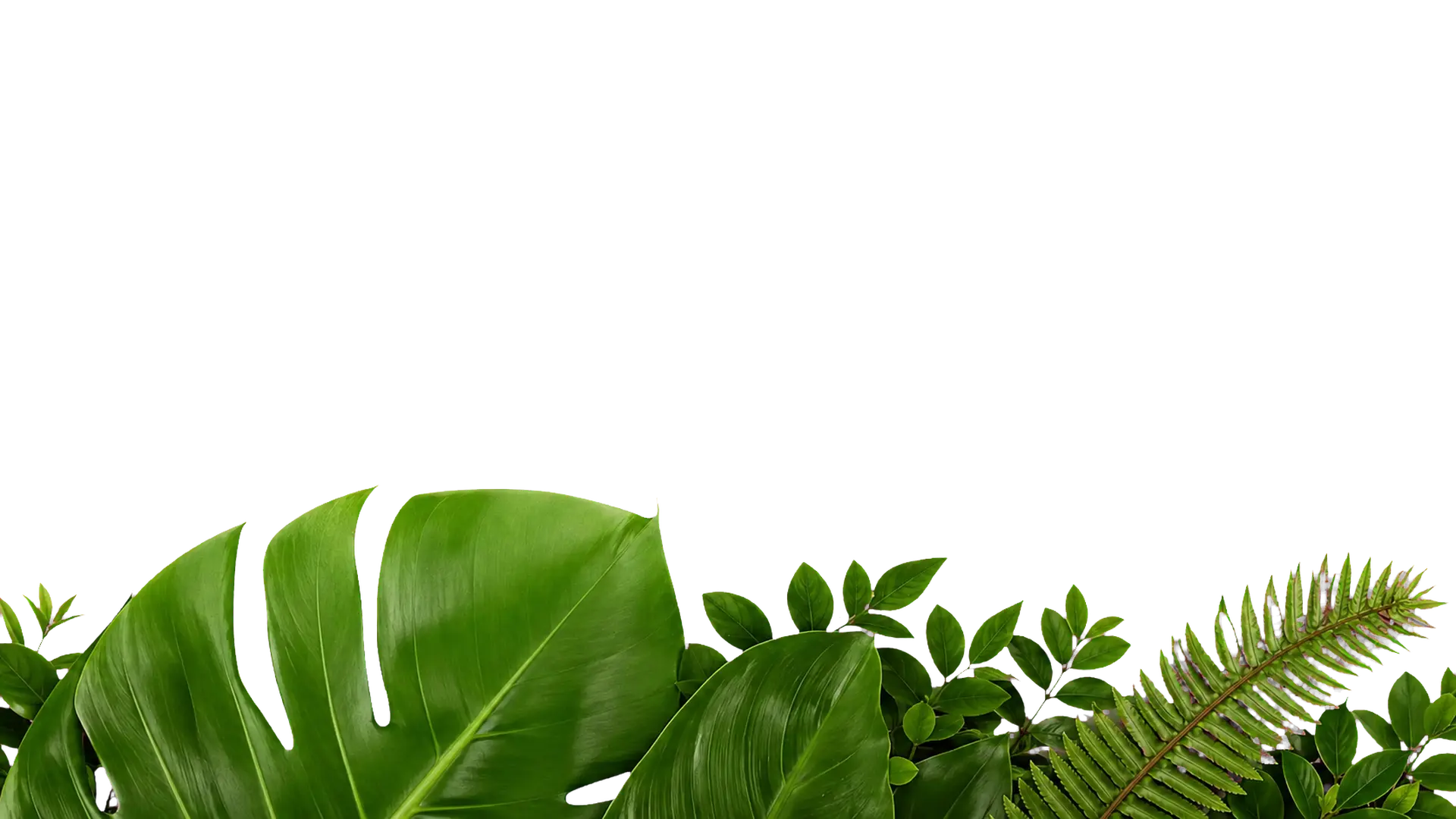 Follaje verde EZPAK